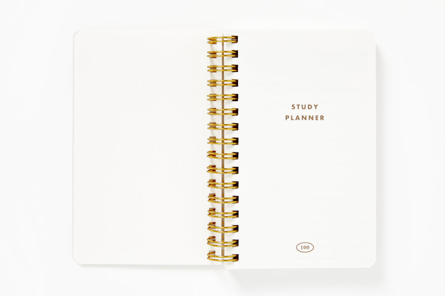 Mini Planner 'Plan & Study' Ivory