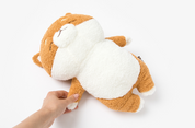 Sleeping Shiba Cushion