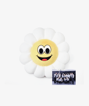 Seventeen  Chamomile Cushion