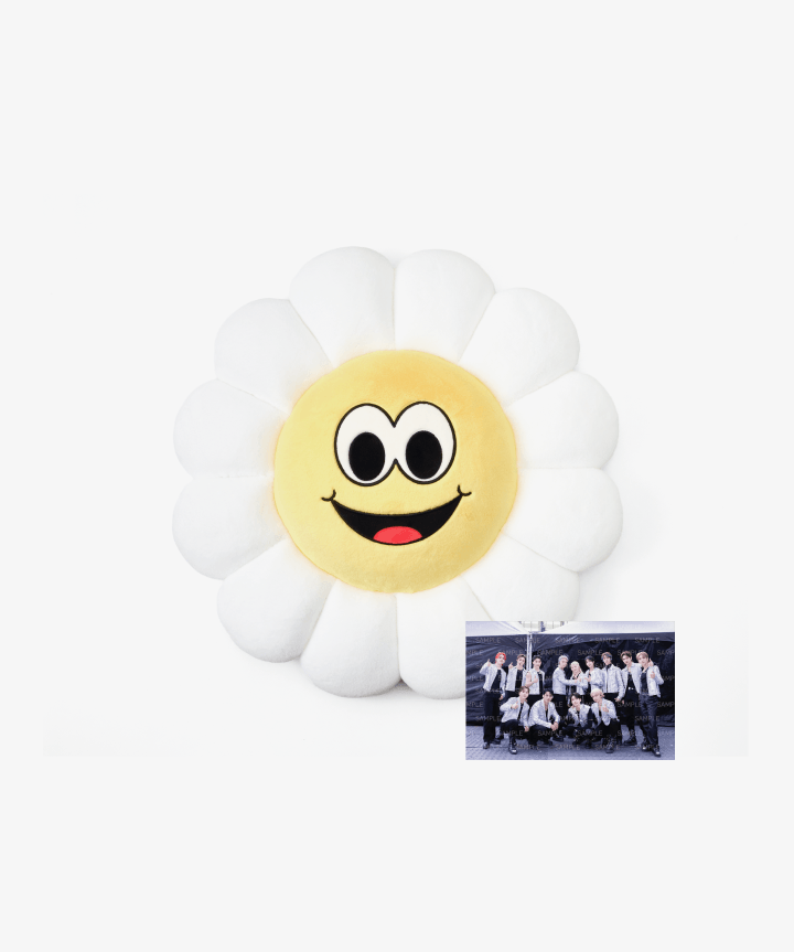 Seventeen  Chamomile Cushion